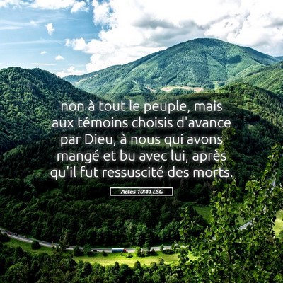 Picture 05 - Actes 10:41 LSG - non à tout le peuple, mais aux témoins choisis - Bible Verse Picture