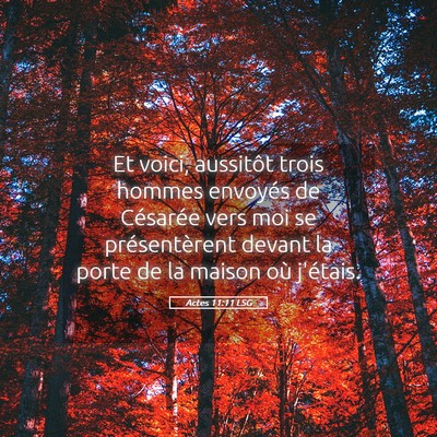 Picture 05 - Actes 11:11 LSG - Et voici, aussitôt trois hommes envoyés de - Bible Verse Picture