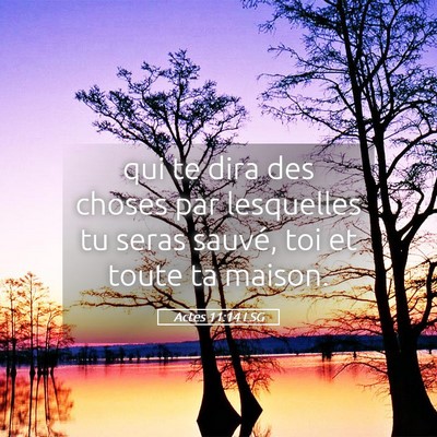 Picture 05 - Actes 11:14 LSG - qui te dira des choses par lesquelles tu seras - Bible Verse Picture