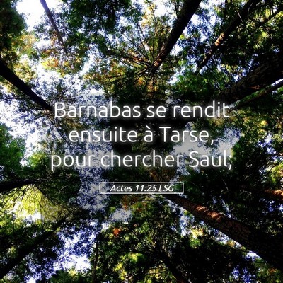 Picture 05 - Actes 11:25 LSG - Barnabas se rendit ensuite à Tarse, pour - Bible Verse Picture