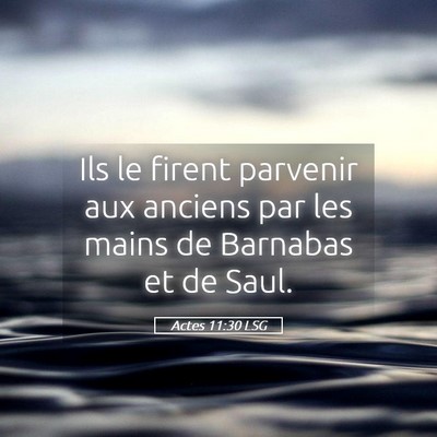Picture 05 - Actes 11:30 LSG - Ils le firent parvenir aux anciens par les mains - Bible Verse Picture