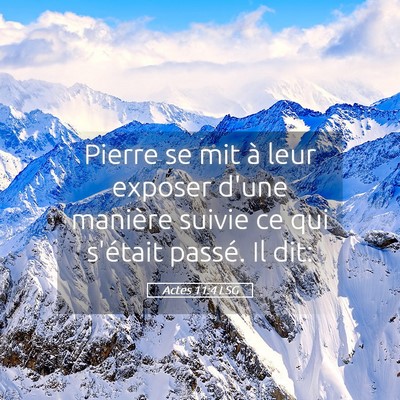 Picture 05 - Actes 11:4 LSG - Pierre se mit à leur exposer d'une manière - Bible Verse Picture