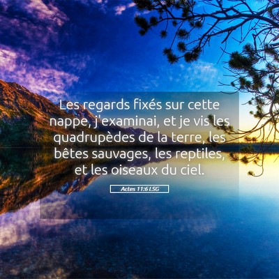Picture 05 - Actes 11:6 LSG - Les regards fixés sur cette nappe, j'examinai, - Bible Verse Picture