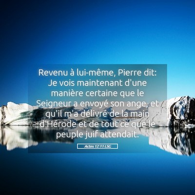 Picture 05 - Actes 12:11 LSG - Revenu à lui-même, Pierre dit: Je vois - Bible Verse Picture