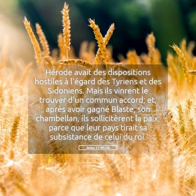 Picture 05 - Actes 12:20 LSG - Hérode avait des dispositions hostiles à - Bible Verse Picture