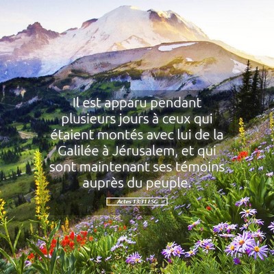Picture 05 - Actes 13:31 LSG - Il est apparu pendant plusieurs jours à ceux qui - Bible Verse Picture