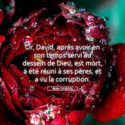 Picture 05 - Actes 13:36 LSG - Or, David, après avoir en son temps servi au - Bible Verse Picture