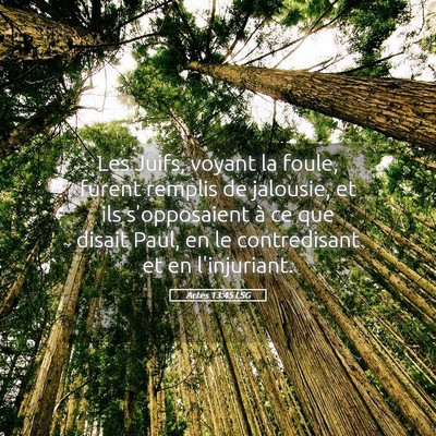 Picture 05 - Actes 13:45 LSG - Les Juifs, voyant la foule, furent remplis de - Bible Verse Picture