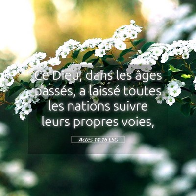 Picture 05 - Actes 14:16 LSG - Ce Dieu, dans les âges passés, a laissé toutes - Bible Verse Picture