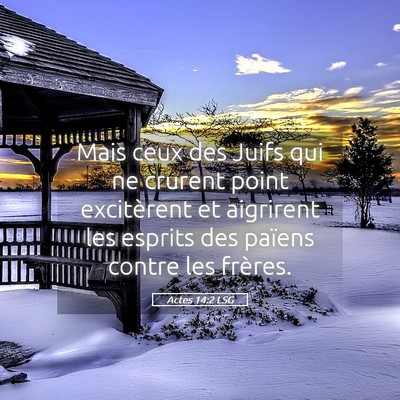 Picture 05 - Actes 14:2 LSG - Mais ceux des Juifs qui ne crurent point - Bible Verse Picture