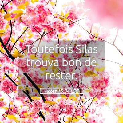 Picture 05 - Actes 15:34 LSG - Toutefois Silas trouva bon de - Bible Verse Picture