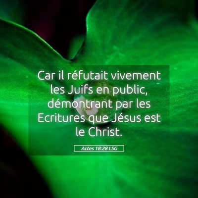 Picture 05 - Actes 18:28 LSG - Car il réfutait vivement les Juifs en public, - Bible Verse Picture