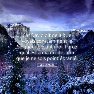 Picture 05 - Actes 2:25 LSG - Car David dit de lui: Je voyais constamment le - Bible Verse Picture