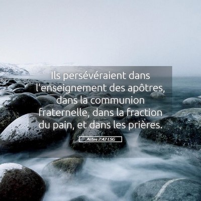 Picture 05 - Actes 2:42 LSG - Ils persévéraient dans l'enseignement des - Bible Verse Picture