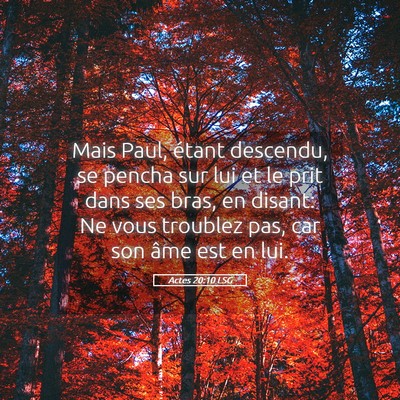 Picture 05 - Actes 20:10 LSG - Mais Paul, étant descendu, se pencha sur lui et - Bible Verse Picture