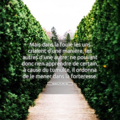 Picture 05 - Actes 21:34 LSG - Mais dans la foule les uns criaient d'une - Bible Verse Picture