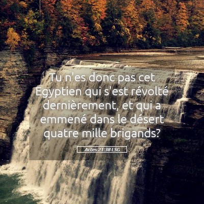 Picture 05 - Actes 21:38 LSG - Tu n'es donc pas cet Egyptien qui s'est révolté - Bible Verse Picture