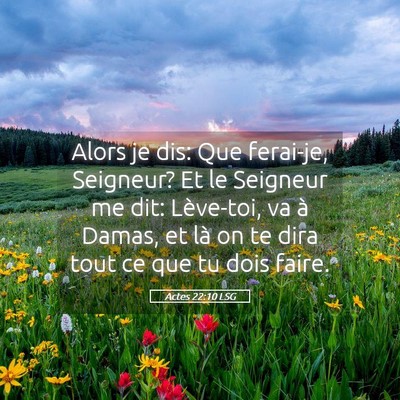 Picture 05 - Actes 22:10 LSG - Alors je dis: Que ferai-je, Seigneur? Et le - Bible Verse Picture