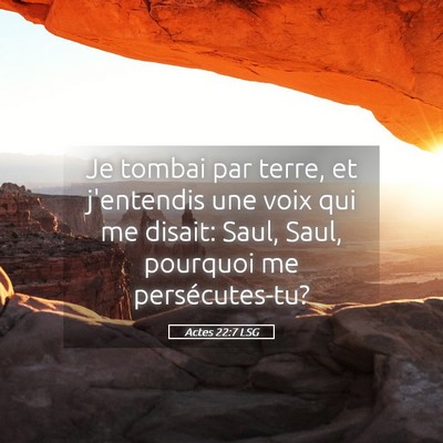 Picture 05 - Actes 22:7 LSG - Je tombai par terre, et j'entendis une voix qui - Bible Verse Picture