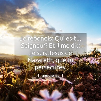 Picture 05 - Actes 22:8 LSG - Je répondis: Qui es-tu, Seigneur? Et il me dit: - Bible Verse Picture