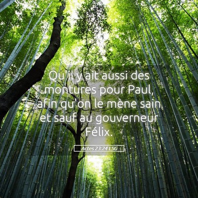 Picture 05 - Actes 23:24 LSG - Qu'il y ait aussi des montures pour Paul, afin - Bible Verse Picture