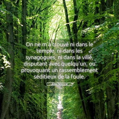Picture 05 - Actes 24:12 LSG - On ne m'a trouvé ni dans le temple, ni dans les - Bible Verse Picture