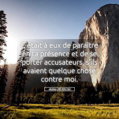 Picture 05 - Actes 24:19 LSG - C'était à eux de paraître en ta présence et - Bible Verse Picture