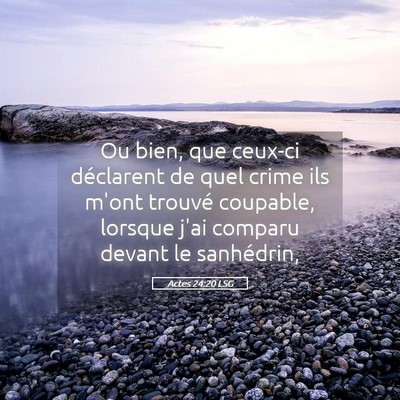 Picture 05 - Actes 24:20 LSG - Ou bien, que ceux-ci déclarent de quel crime ils - Bible Verse Picture