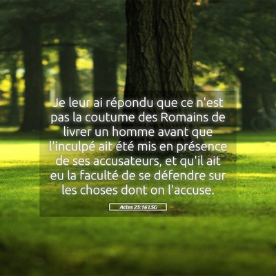 Picture 05 - Actes 25:16 LSG - Je leur ai répondu que ce n'est pas la coutume - Bible Verse Picture
