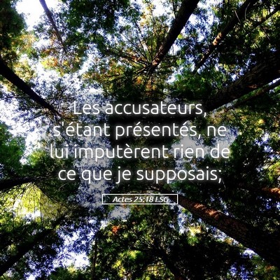 Picture 05 - Actes 25:18 LSG - Les accusateurs, s'étant présentés, ne lui - Bible Verse Picture