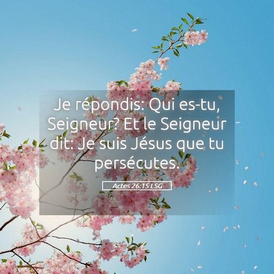 Picture 05 - Actes 26:15 LSG - Je répondis: Qui es-tu, Seigneur? Et le Seigneur - Bible Verse Picture