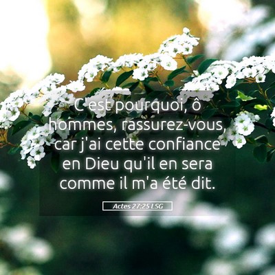 Picture 05 - Actes 27:25 LSG - C'est pourquoi, ô hommes, rassurez-vous, car - Bible Verse Picture