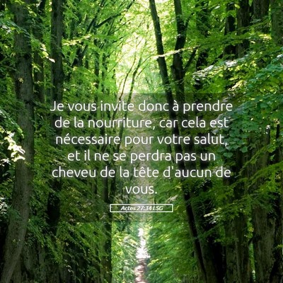 Picture 05 - Actes 27:34 LSG - Je vous invite donc à prendre de la nourriture, - Bible Verse Picture