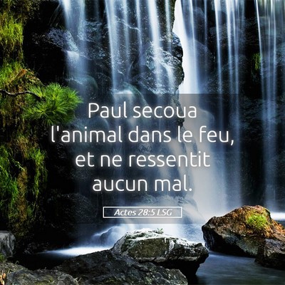Picture 05 - Actes 28:5 LSG - Paul secoua l'animal dans le feu, et ne ressentit - Bible Verse Picture