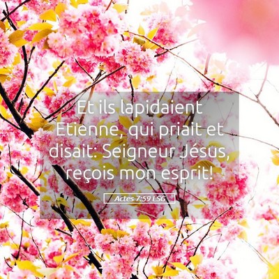 Picture 05 - Actes 7:59 LSG - Et ils lapidaient Etienne, qui priait et disait: - Bible Verse Picture