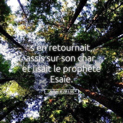 Picture 05 - Actes 8:28 LSG - s'en retournait, assis sur son char, et lisait le - Bible Verse Picture