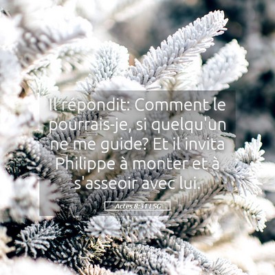 Picture 05 - Actes 8:31 LSG - Il répondit: Comment le pourrais-je, si - Bible Verse Picture