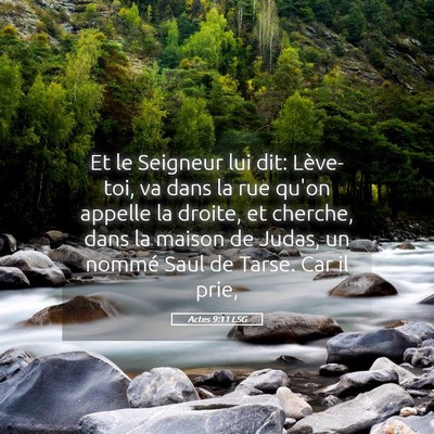 Picture 05 - Actes 9:11 LSG - Et le Seigneur lui dit: Lève-toi, va dans la rue - Bible Verse Picture
