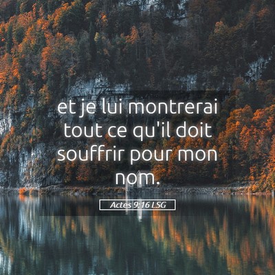 Picture 05 - Actes 9:16 LSG - et je lui montrerai tout ce qu'il doit souffrir - Bible Verse Picture
