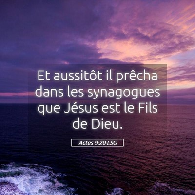 Picture 05 - Actes 9:20 LSG - Et aussitôt il prêcha dans les synagogues que - Bible Verse Picture
