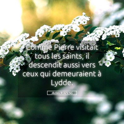 Picture 05 - Actes 9:32 LSG - Comme Pierre visitait tous les saints, il - Bible Verse Picture