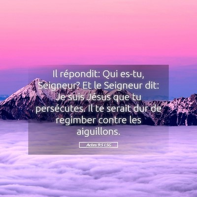 Picture 05 - Actes 9:5 LSG - Il répondit: Qui es-tu, Seigneur? Et le Seigneur - Bible Verse Picture