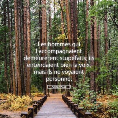 Picture 05 - Actes 9:7 LSG - Les hommes qui l'accompagnaient demeurèrent - Bible Verse Picture