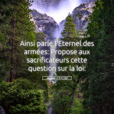 Picture 05 - Aggée 2:11 LSG - Ainsi parle l'Eternel des armées: Propose aux - Bible Verse Picture