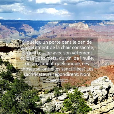 Picture 05 - Aggée 2:12 LSG - Si quelqu'un porte dans le pan de son vêtement - Bible Verse Picture