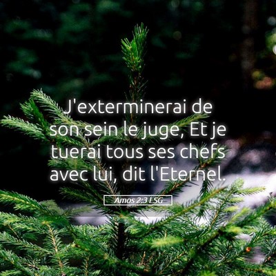 Picture 05 - Amos 2:3 LSG - J'exterminerai de son sein le juge, Et je tuerai - Bible Verse Picture