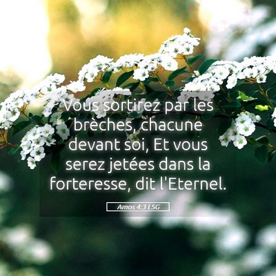 Picture 05 - Amos 4:3 LSG - Vous sortirez par les brèches, chacune devant - Bible Verse Picture