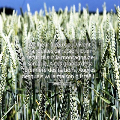 Picture 05 - Amos 6:1 LSG - Malheur à ceux qui vivent tranquilles dans Sion, - Bible Verse Picture
