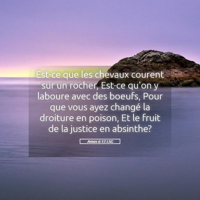 Picture 05 - Amos 6:12 LSG - Est-ce que les chevaux courent sur un rocher, - Bible Verse Picture