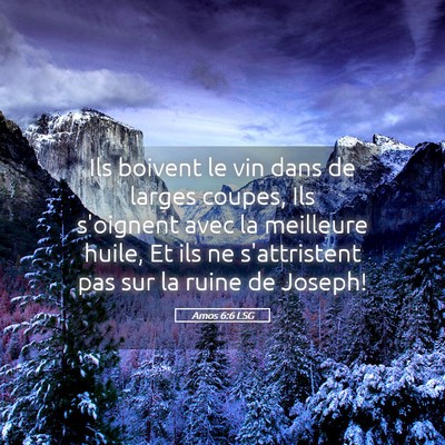 Picture 05 - Amos 6:6 LSG - Ils boivent le vin dans de larges coupes, Ils - Bible Verse Picture